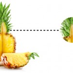 Pineapple01