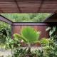 Natural-canopy-around-the-stylis-Sao-Paulo-house