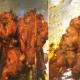 kittipon-roasting-chicken01