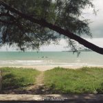 %e0%b8%a3%e0%b8%b0%e0%b8%a2%e0%b8%ad%e0%b8%87_%e0%b8%aa%e0%b8%a7%e0%b8%99%e0%b8%aa%e0%b8%99