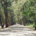 %e0%b8%aa%e0%b8%a7%e0%b8%99%e0%b8%aa%e0%b8%99