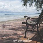 %e0%b8%aa%e0%b8%a7%e0%b8%99%e0%b8%aa%e0%b8%99_rayong