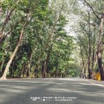 %e0%b8%aa%e0%b8%a7%e0%b8%99%e0%b8%aa%e0%b8%99_%e0%b8%a3%e0%b8%b0%e0%b8%a2%e0%b8%ad%e0%b8%87