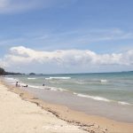 %e0%b8%ab%e0%b8%b2%e0%b8%94%e0%b8%aa%e0%b8%a7%e0%b8%99%e0%b8%aa%e0%b8%99_2