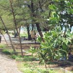 %e0%b9%81%e0%b8%a1%e0%b9%88%e0%b8%9e%e0%b8%b4%e0%b8%a1%e0%b8%9e%e0%b9%8c_3