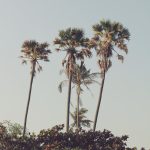 %e0%b9%81%e0%b8%ab%e0%b8%a5%e0%b8%a1%e0%b8%95%e0%b8%b2%e0%b8%a5_2