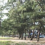 %e0%b9%81%e0%b8%ab%e0%b8%a5%e0%b8%a1%e0%b9%80%e0%b8%88%e0%b8%a3%e0%b8%b4%e0%b8%8d