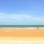 %e0%b9%81%e0%b8%ab%e0%b8%a5%e0%b8%a1%e0%b9%81%e0%b8%a1%e0%b9%88%e0%b8%9e%e0%b8%b4%e0%b8%a1%e0%b8%9e%e0%b9%8c_2