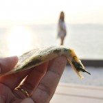 The-Sky-Gallery-Pattaya-06