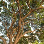 The-Sky-Gallery-Pattaya-11