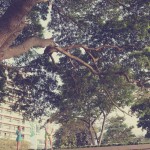 The-Sky-Gallery-Pattaya-12