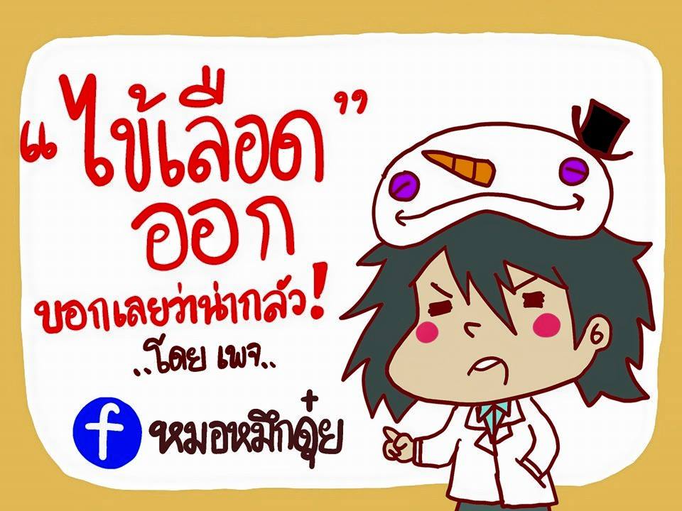 ไขข้อข้องใจกับ “ไข้เลือดออก” โดย “หมอหมึกดุ๋ย”