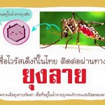 Dengue_fever_02