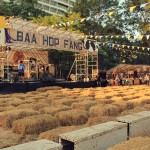 Baa-hop-fang-farm-festival-02