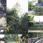 panun_02