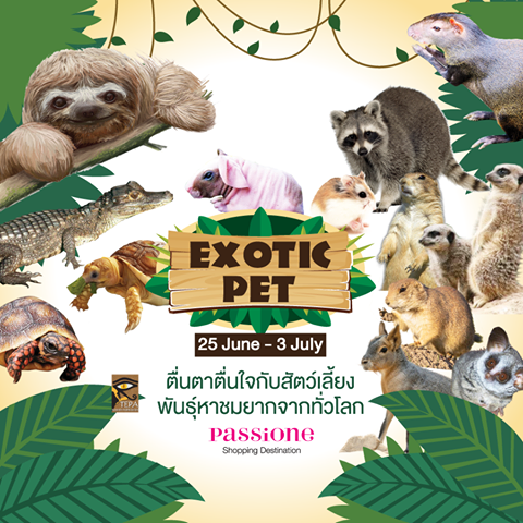 ตื่นตาตื่นใจกับสัตว์เลี้ยงพันธุ์หาชมยากจากทั่วโลก!! ในงาน EXOTIC PET ที่แพชชั่น ช้อปปิ้งเดสติเนชั่น