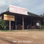 %e0%b9%81%e0%b8%94%e0%b8%81%e0%b8%94%e0%b9%88%e0%b8%a7%e0%b8%99_%e0%b9%82%e0%b8%a0%e0%b8%8a%e0%b8%99%e0%b8%b2_06