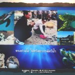 rayong-aquarium-01