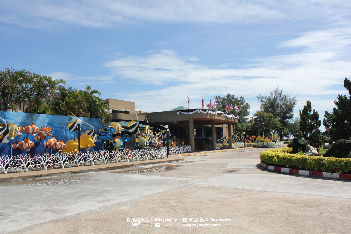 rayong-aquarium-12