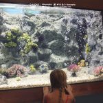 rayong-aquarium-13