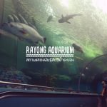 rayong-aquarium