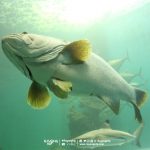 %e0%b8%a3%e0%b8%b0%e0%b8%a2%e0%b8%ad%e0%b8%87%e0%b8%ad%e0%b8%84%e0%b8%a7%e0%b8%b2%e0%b9%80%e0%b8%a3%e0%b8%b5%e0%b9%88%e0%b8%a2%e0%b8%a1