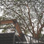 IceBox-2-Yomjinda-Road-06