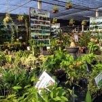 World Wetlands Day Rayong 3