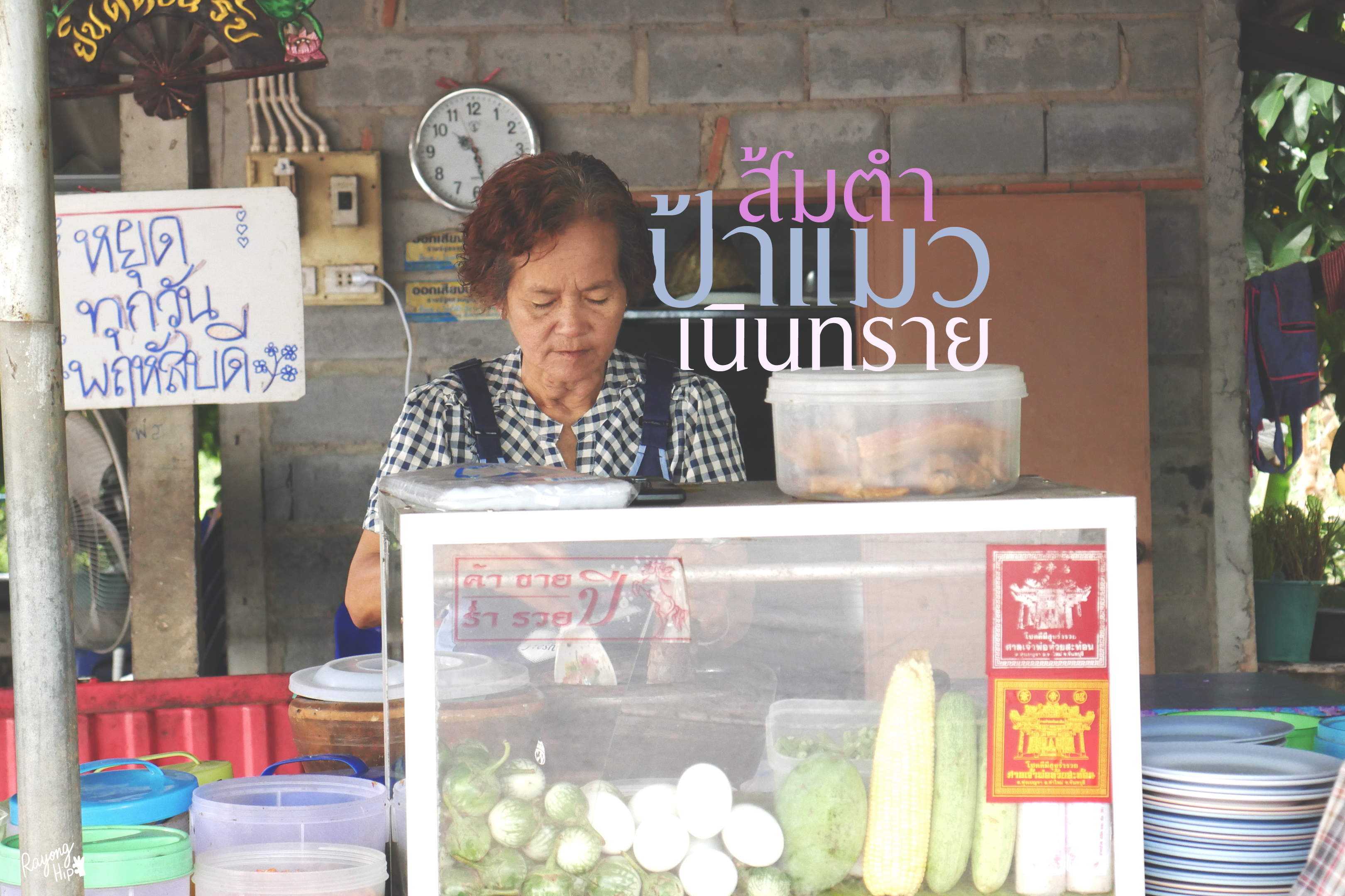 แซ่บฮิ อีหลีเด้อ ส้มตำป้าแมว เนินทราย อำเภอแกลง จังหวัดระยอง แซ่บฮิ อีหลีเด้อ ส้มตำป้าแมว เนินทราย อำเภอแกลง จังหวัดระยอง
