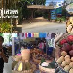 สวนผู้ใหญ่เสวตร-ขนมจีน