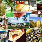 สวนละไม-Suan-Lamai