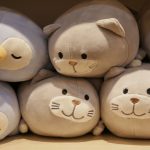 Moshi-Moshi-Japan-07