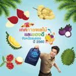 Rayong-Fruit-Festival-2017-3