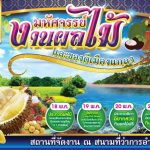 fruit-fest-2017-1