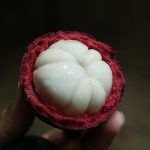 khanomjeenkaokrong-36
