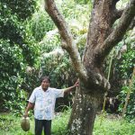 rarai-garden-05