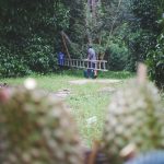 rarai-garden-12