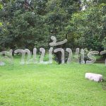 suanbanrao-01