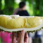 ชายมังคุด