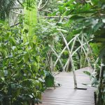 สวนบ้านเรา-ระยอง