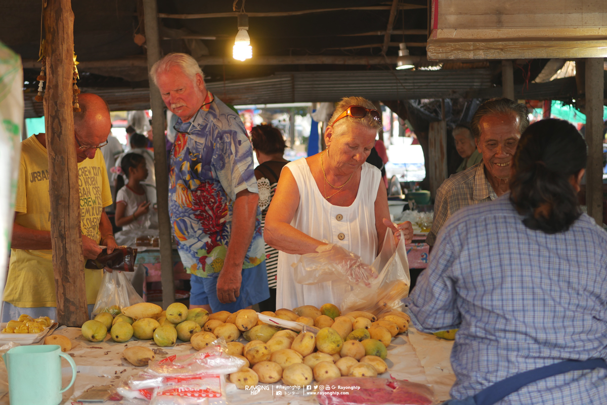 “ตลาดนัดในไร่” ข้างวัดในไร่ ตำบลเพ จังหวัดระยอง เปิดทุกวันอังคารและวันเสาร์