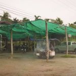 ก๋วยตี๋ยว-ป้าแบน-4
