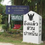 สวนปาหนัน-17