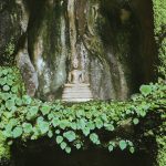 Wat-Tham-Khao-bos-13