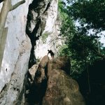 Wat-Tham-Khao-bos-15