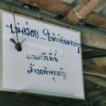ก๋วยเตี๋ยวปากตุ่ม-6