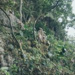 Tham-Neramit-05