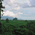 Tham-Neramit-08