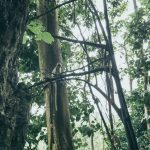 Tham-Neramit-19