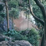 Tham-Neramit-21-1